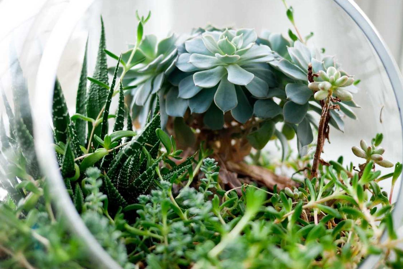 Read more about the article Ipsum quae deleniti voluptatem